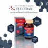Viên uống Fucoidan Okinawa đỏ Nhật Bản 180 viên